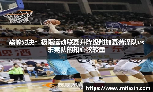 乐球直播在线观看免费观看