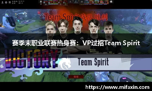 赛季末职业联赛热身赛：VP过招Team Spirit